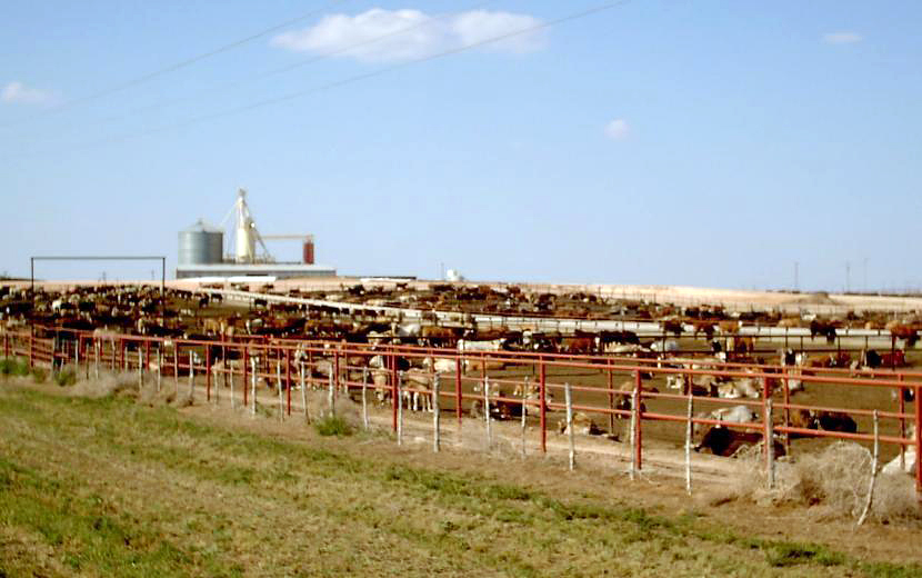Document 20111