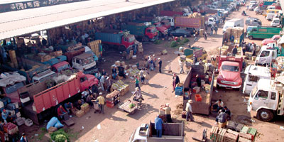 Document 11757