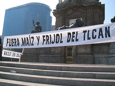 Fuera maíz y frijol del TLCAN Fuera maíz y frijol del TLCAN